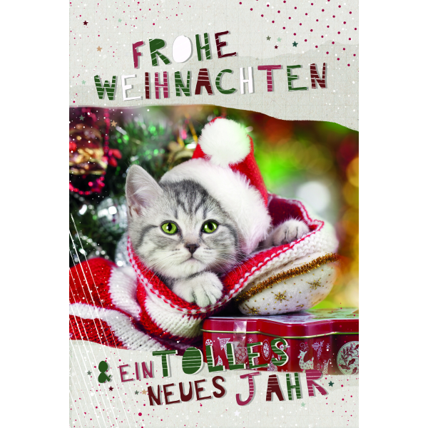 Weihnachten Glückwunschkarten mit Umschlag Katze mit Weihnachtsmütze guckt aus Weihnachtsstrumpf