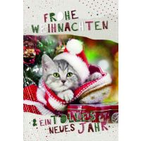 Weihnachten Glückwunschkarten mit Umschlag Katze mit...