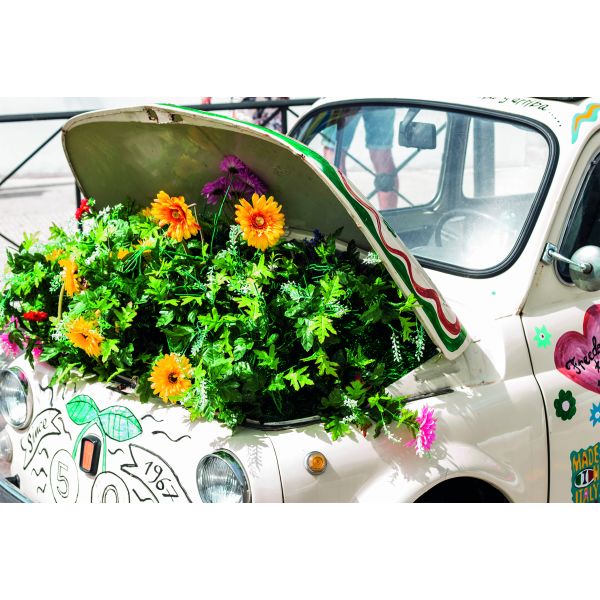 Fotokarte Allgemein Glückwunschkarten  Blumen im Motorraum