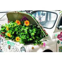 Fotokarte Allgemein Glückwunschkarten  Blumen im...