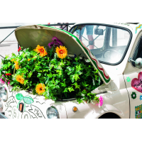 Fotokarte Allgemein Glückwunschkarten  Blumen im...