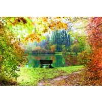Fotokarte Herbst Glückwunschkarten  Parkbank am See...