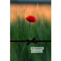 Beileid Kondolenz Trauerkarte Klatschmohn, mit schwarzer...