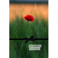 Beileid Kondolenz Trauerkarte Klatschmohn, mit schwarzer...