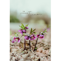Beileid Kondolenz Trauerkarte Blumen, mit Silberfolie In...