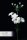 Trauer – Beileids-Kondolenzkarten im Format  11,5 x 17 cm - Blume