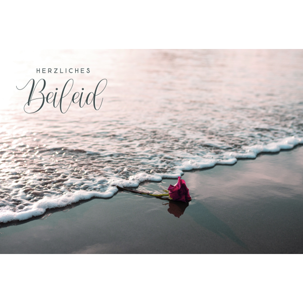Beileid Kondolenz Trauerkarte Rose am Wasser Herzliches Beileid  mit Umschlag