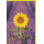 Blanko Karte mit Umschlag Sonnenblume