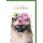 Geburtstag Glückwunschkarte Katze mit Blumen