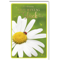 Geburtstag Glückwunschkarte Gänseblümchen