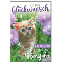 Geburtstag Glückwunschkarte Katze in lila Blumen