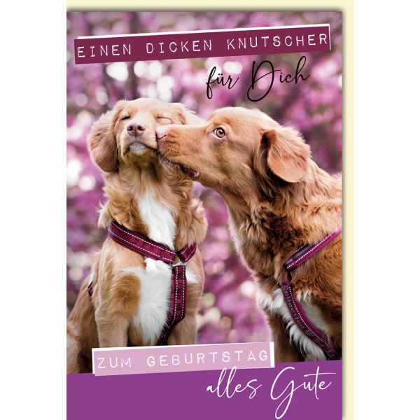 Geburtstag Glückwunschkarte Hunde Knutscher