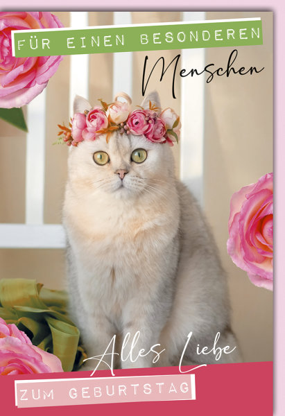 Geburtstag - Glückwunschkarte im Format 11,5 x 17 cm - Katze, besonderer Mensch