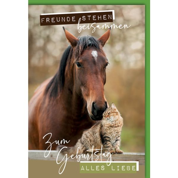 Geburtstag Glückwunschkarte Pferd + Katze Freunde stehen zusammen