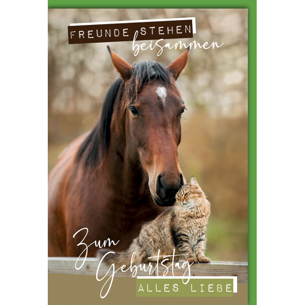 Geburtstag Glückwunschkarte Pferd + Katze Freunde stehen zusammen