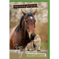 Geburtstag Glückwunschkarte Pferd + Katze Freunde...