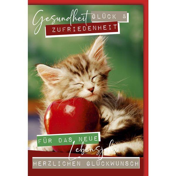 Geburtstag Glückwunschkarte Kätzchen, Apfel