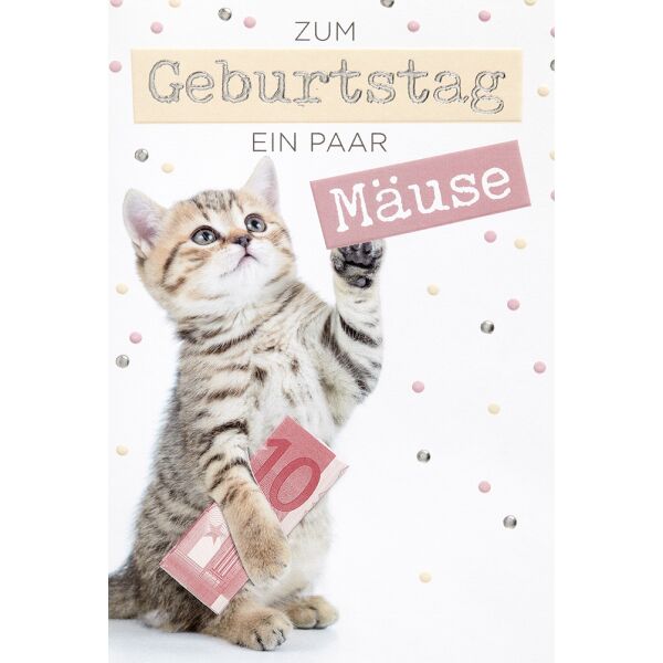 Geldkarte Geburtstag plastikfreie Glückwunschkarte mit Briefumschlag Kätzchen Zum Geburtstag ein paar Mäuse