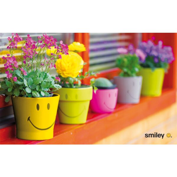 Allgemeine Wünsche Smiley Glückwunschkarte mit Umschlag 8,5 x 13cm Blumen in bunten Smiley Töpfen