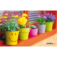 Allgemeine Wünsche Smiley Glückwunschkarte mit...