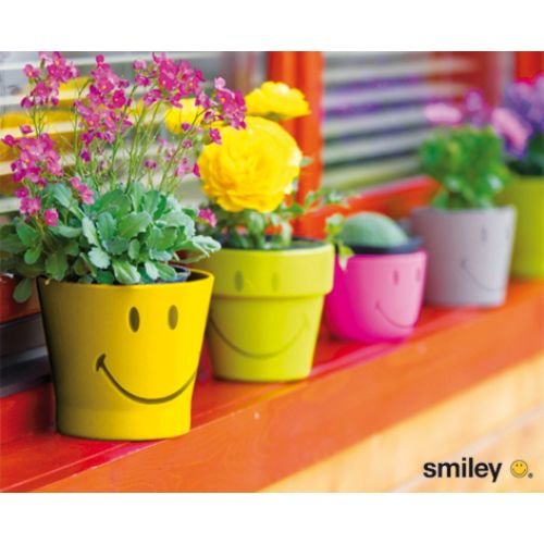 Allgemeine Wünsche – Smiley - Minikarte mit Umschlag – Smiley Kondensstreifen