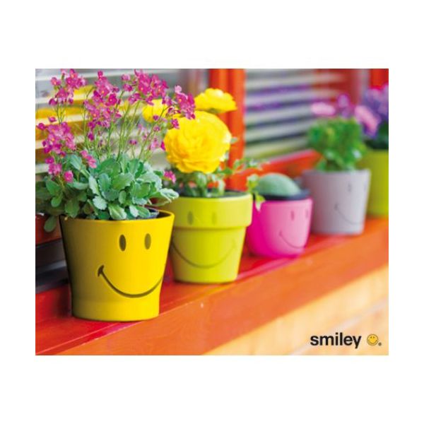 Allgemeine Wünsche Smiley Minikarte mit Umschlag Smiley Kondensstreifen