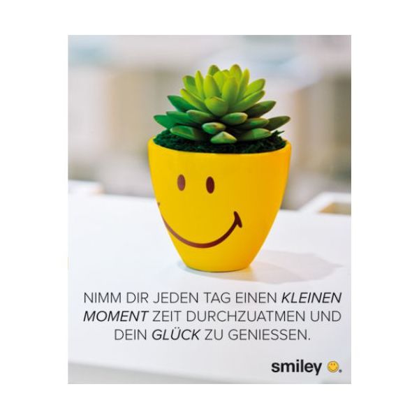 Allgemeine Wünsche Smiley Minikarte mit Umschlag Pflanze im Blumentopf