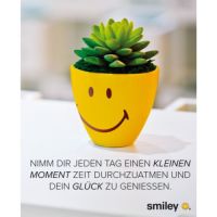 Allgemeine Wünsche Smiley Minikarte mit Umschlag...