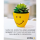 Allgemeine Wünsche Smiley Minikarte mit Umschlag Pflanze im Blumentopf