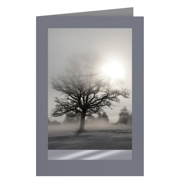 Trauer – Beileidskarte – Nebliger Sonnenaufgang – ohne Text Karte mit Briefumschlag