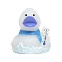 Frosty Eisig Winterente Quietscheente Badeente ca. 8 cm...
