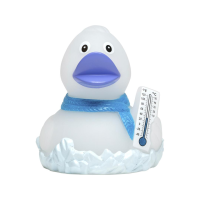 Frosty Eisig Winterente Quietscheente Badeente ca. 8 cm...