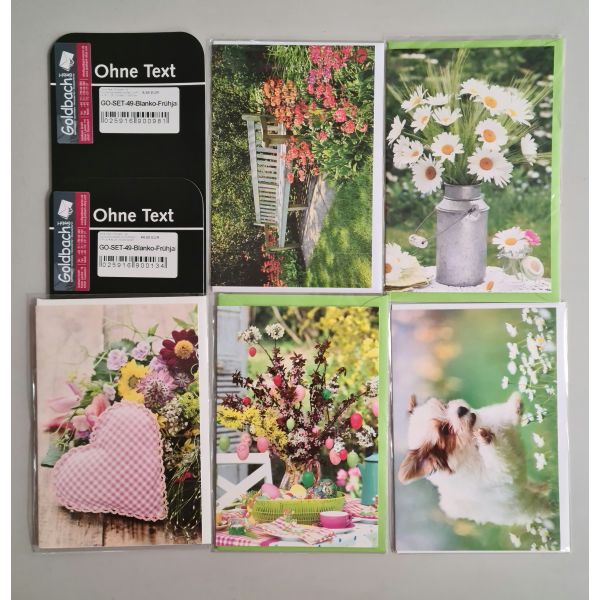 Ohne Text - Frühjahr - 5 Glückwunschkarten sortiert - UVP ca. € 11,25 - Format: 11,5x17cm - mit Briefumschlägen
