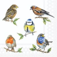 Cocktail Servietten 25 x 25 cm 3-lagig 20 Servietten Bird...