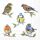 Cocktail Servietten 25 x 25 cm 3-lagig 20 Servietten Bird species white Meisen