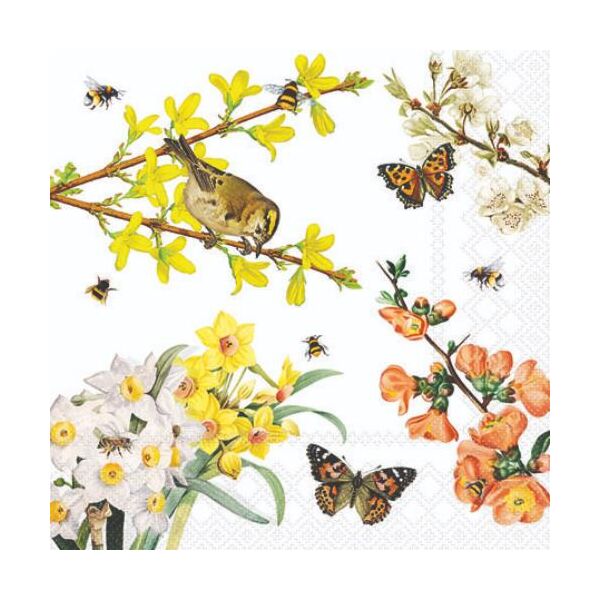 Servietten 25x25 cm 20 Servietten Spring awakening Vogel und Schmetterlinge