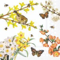 Servietten 25x25 cm 20 Servietten Spring awakening Vogel...