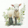 Servietten 25x25 cm 20 Servietten Lamb Lamm