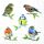 Servietten 33x33 cm Bird species white Vogelarten