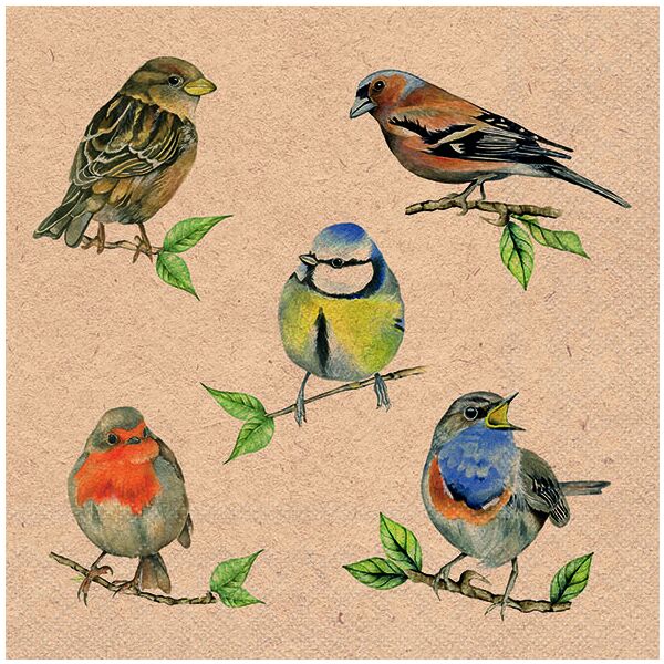 Servietten 33x33 cm Recycled Bird species nature Vogelarten