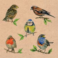 Servietten 33x33 cm Recycled Bird species nature Vogelarten
