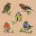 Servietten 33x33 cm Recycled Bird species nature Vogelarten