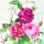 Servietten 33x33 cm 20 Stück 3-lagig Lunch Ambiente Amber pinke Blumen