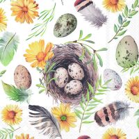 Servietten 33x33 cm Birds nest Vogelnest