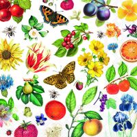 Servietten 33x33 cm Colourful year Blumen und Obst