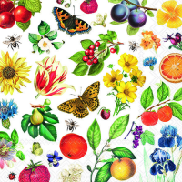 Servietten 33x33 cm Colourful year Blumen und Obst
