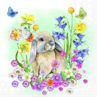 Servietten 33x33 cm Little rabbit Hase in...