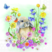 Servietten 33x33 cm Little rabbit Hase in...