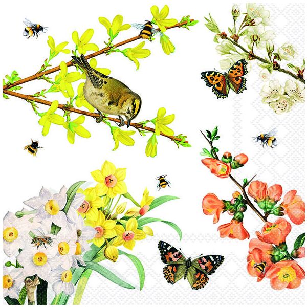 Servietten 33x33 cm Spring awakening Vogel Schmetterlinge Zweige 20 Servietten Lunch 3-lagig