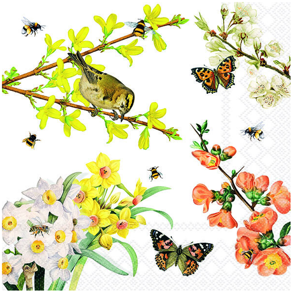Servietten 33x33 cm Spring awakening Vogel Schmetterlinge Zweige 20 Servietten Lunch 3-lagig
